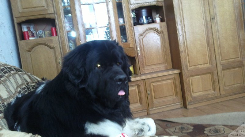 Фотография № 163485