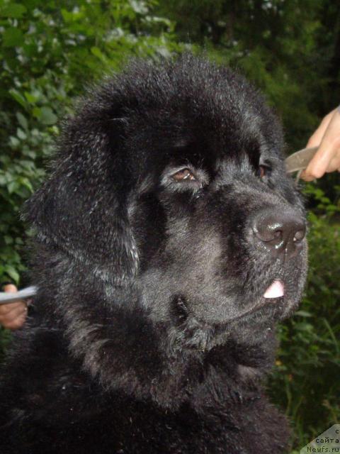 Фотография № 16349