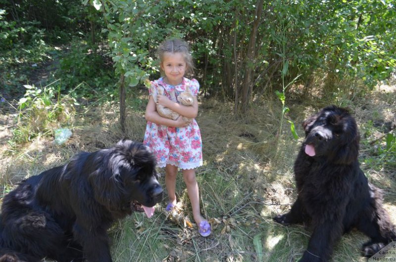 Фотография № 163494