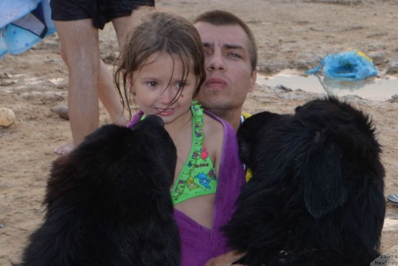 Фотография № 163496