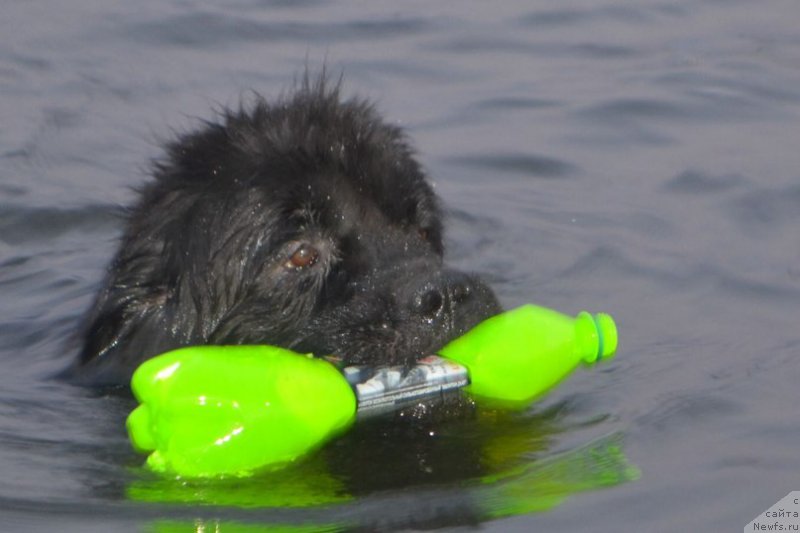 Фотография № 163497