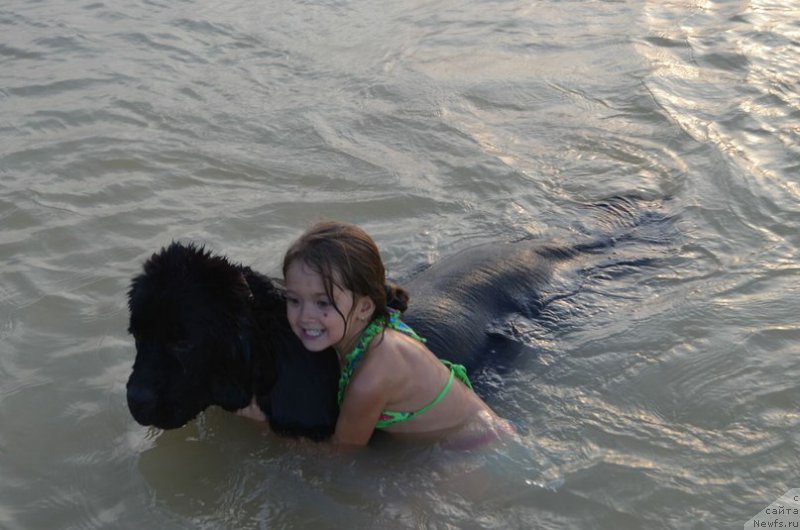 Фотография № 163498