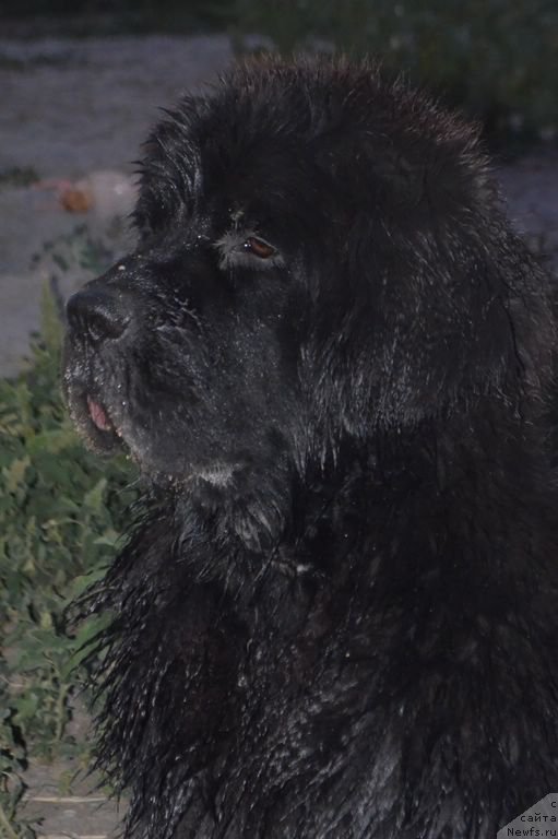 Фотография № 163500