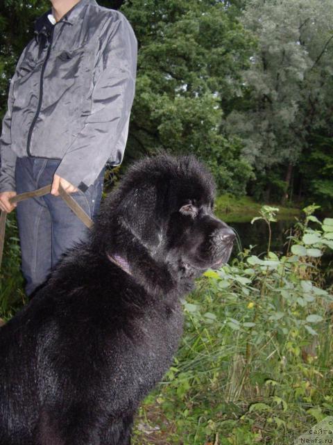 Фотография № 16351