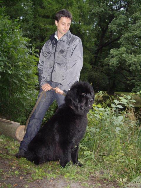 Фотография № 16352