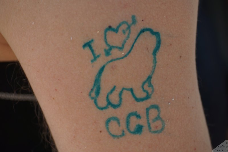 Фотография № 163564