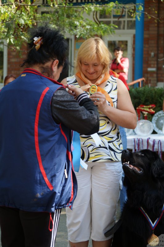 Фотография № 163569