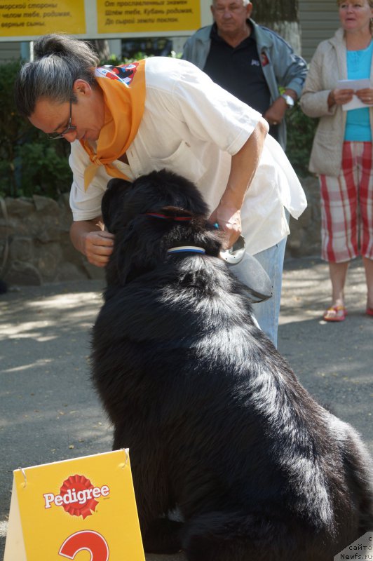 Фотография № 163572