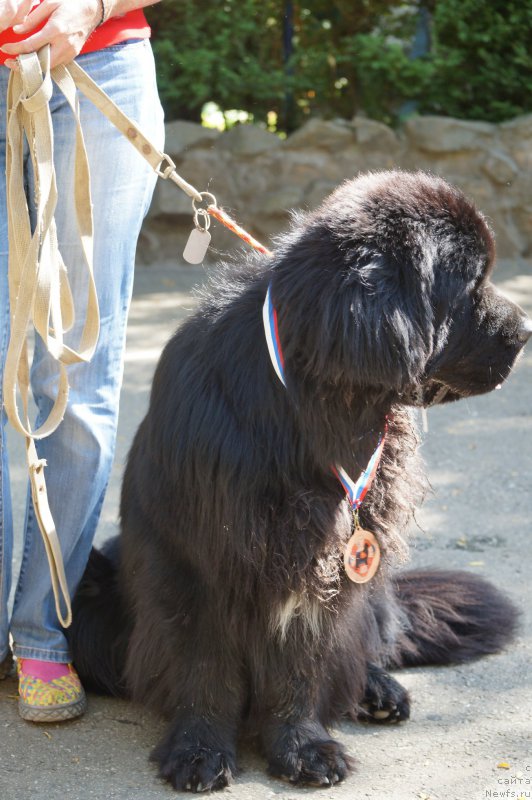 Фотография № 163577