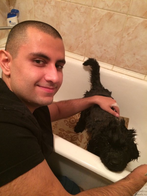 Фотография № 163601