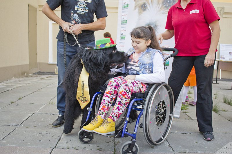 Фотография № 163611