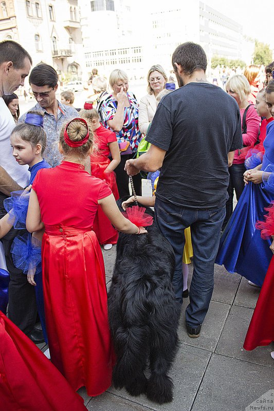 Фотография № 163612