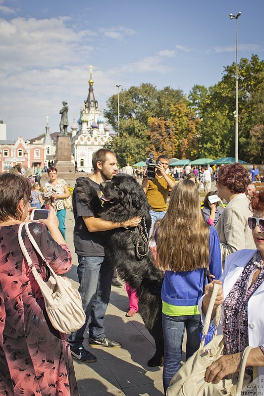 Фотография № 163613