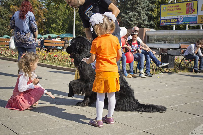 Фотография № 163616