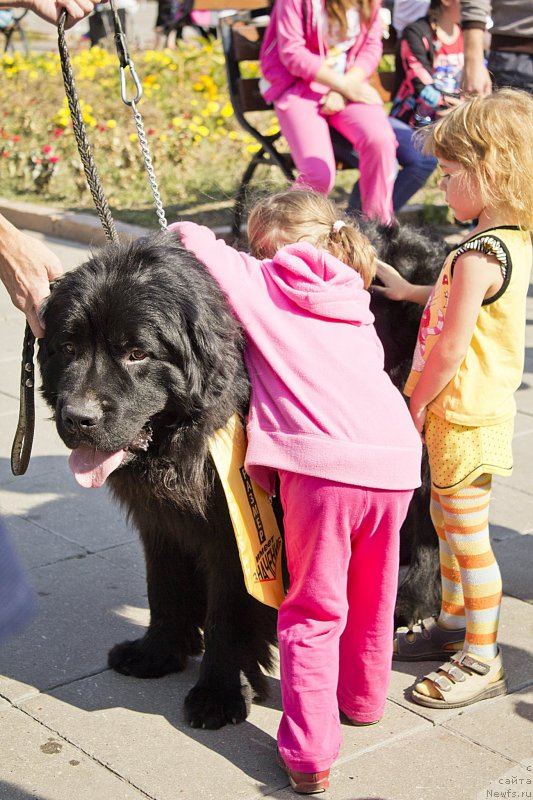 Фотография № 163617