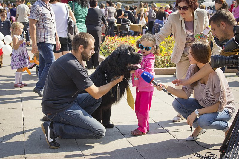 Фотография № 163619