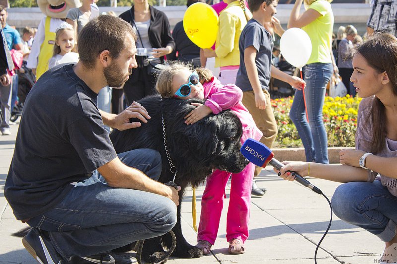 Фотография № 163621