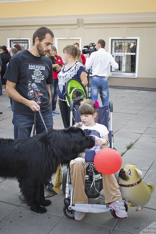 Фотография № 163624