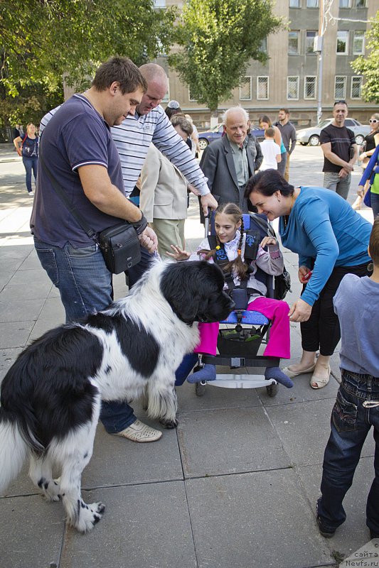 Фотография № 163626