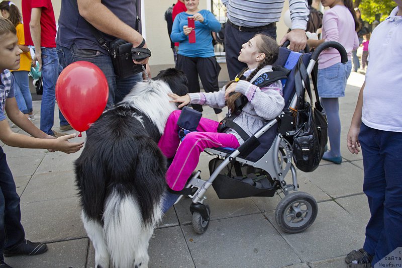 Фотография № 163627