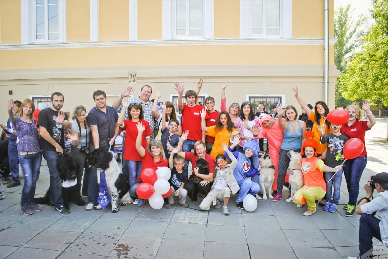 Фотография № 163635