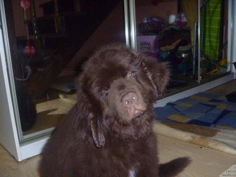 Фото: Юлия Рычкова