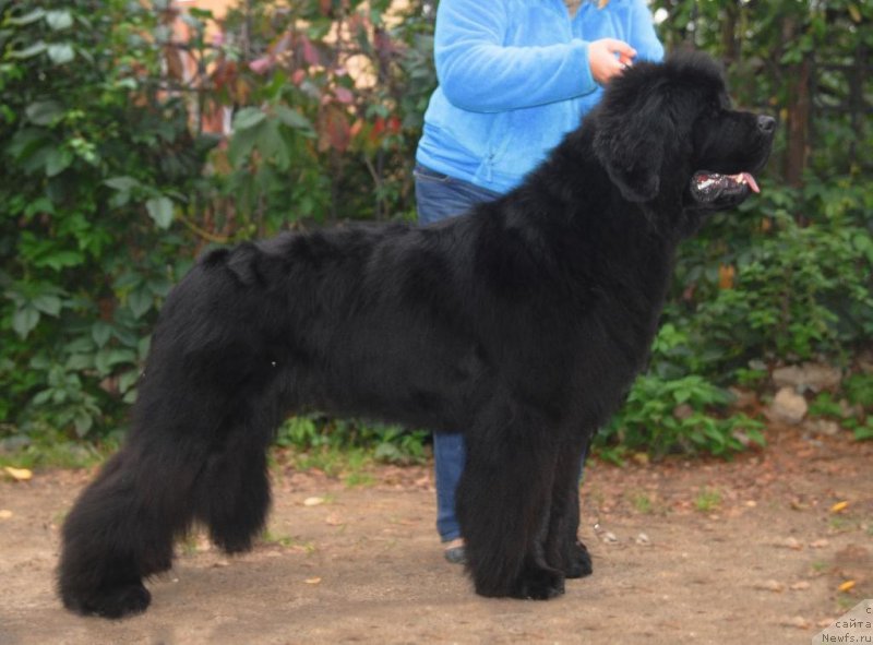 Фотография № 163644