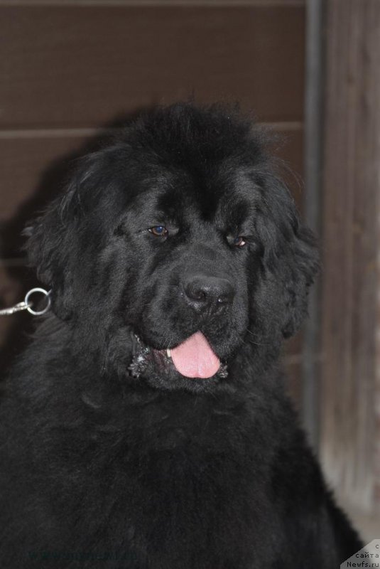 Фотография № 163646