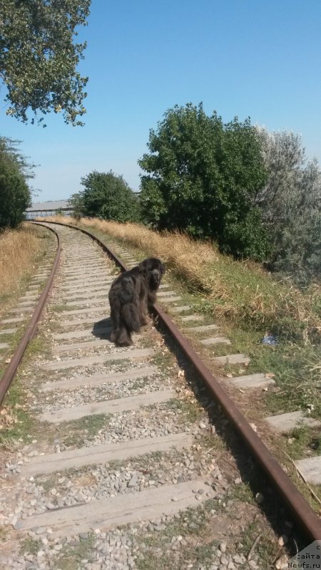 Фотография № 163661