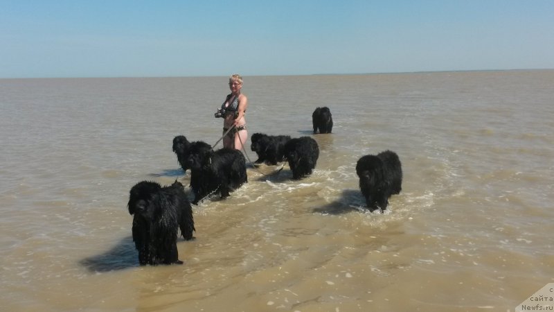 Фотография № 163662