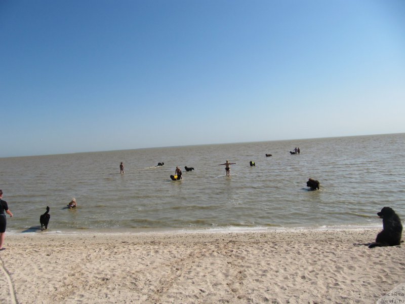 Фотография № 163663