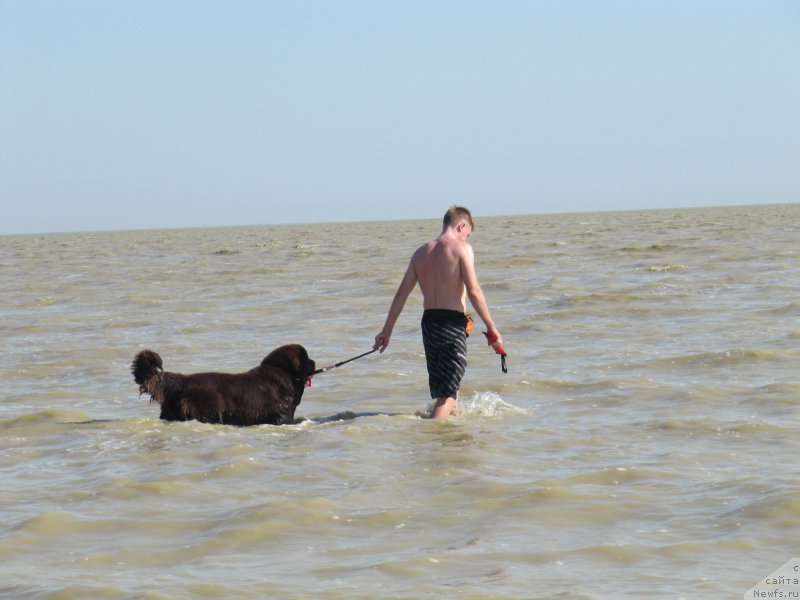 Фотография № 163664