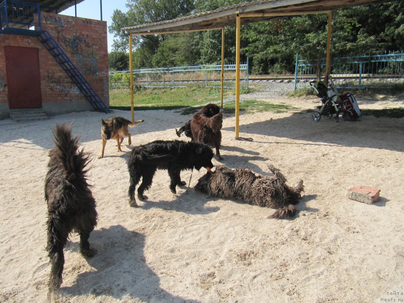 Фотография № 163666