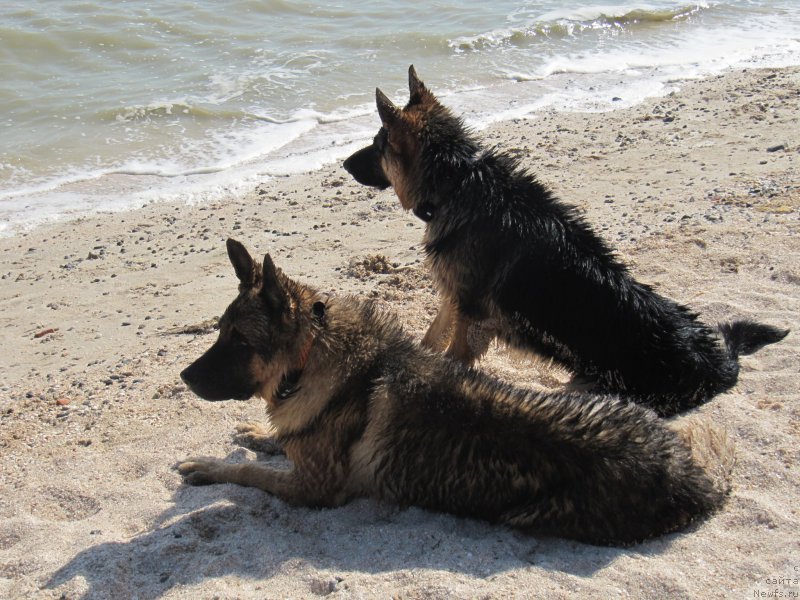 Фотография № 163668