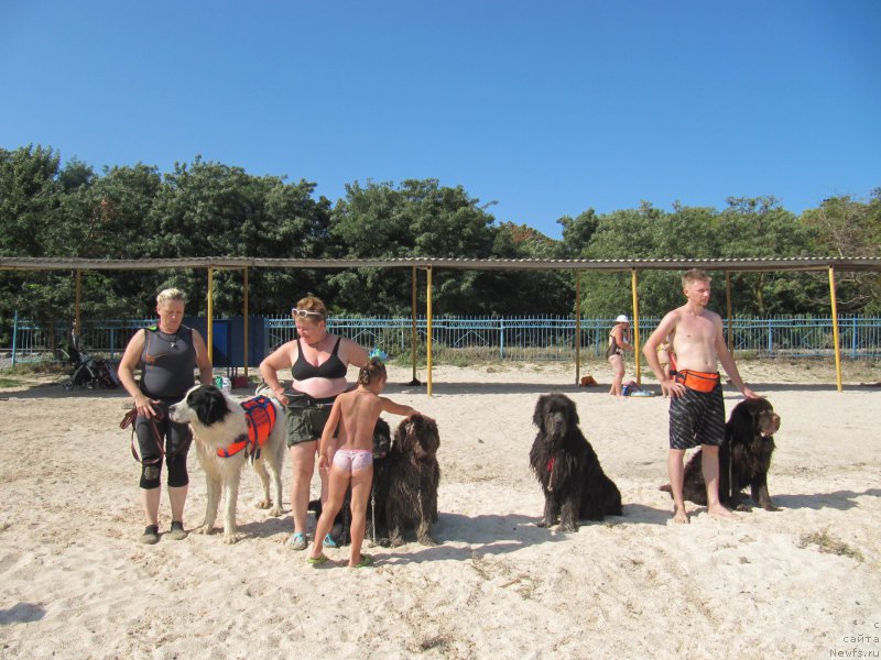 Фотография № 163669