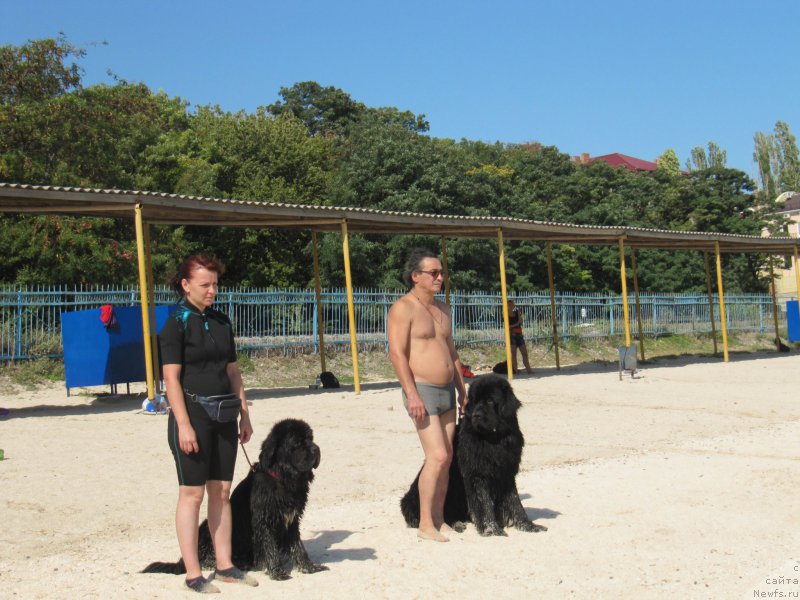 Фотография № 163670