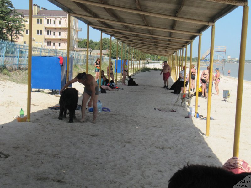 Фотография № 163671