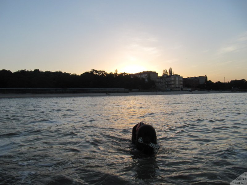 Фотография № 163673