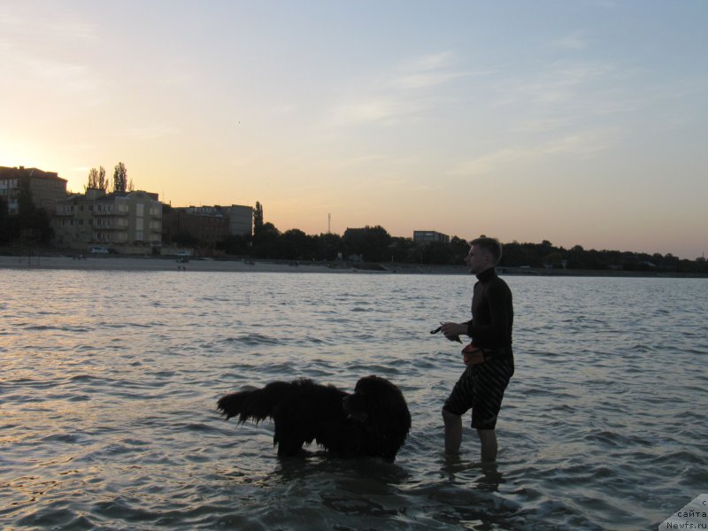 Фотография № 163674