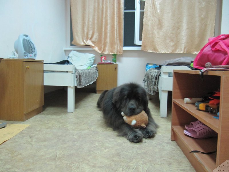 Фотография № 163675