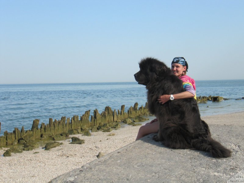 Фотография № 163677