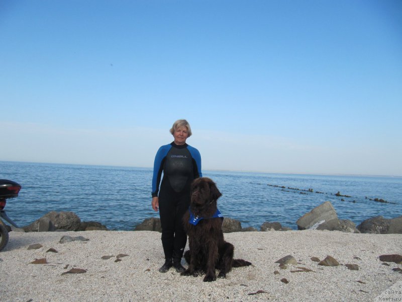 Фотография № 163679