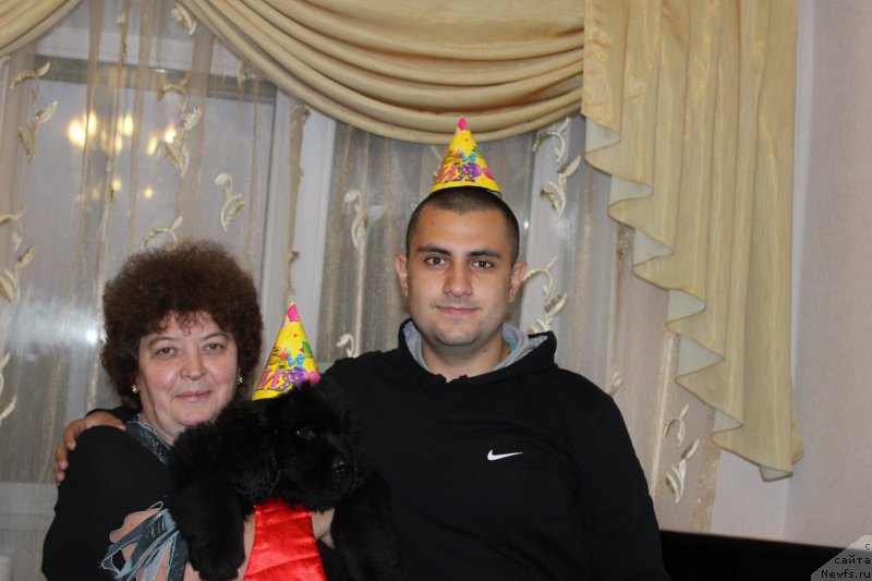 Фото: Елена Шмелева, Владимир Хачатрян, ньюфаундленд Браунблад МСК Хелфи Бэст Армани (Brownblood MSK Helfi Best Armani)