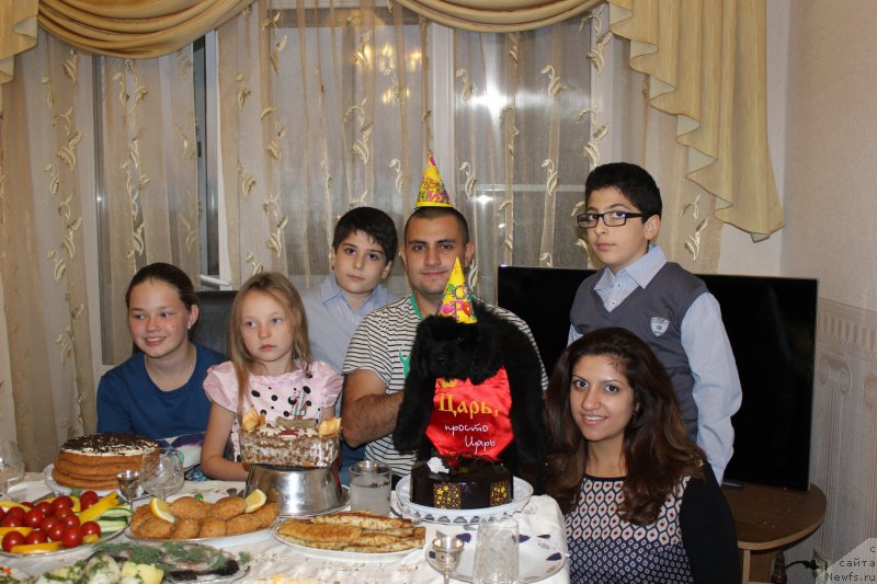 Фотография № 163687