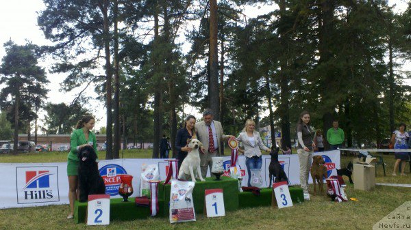 Фотография № 163709