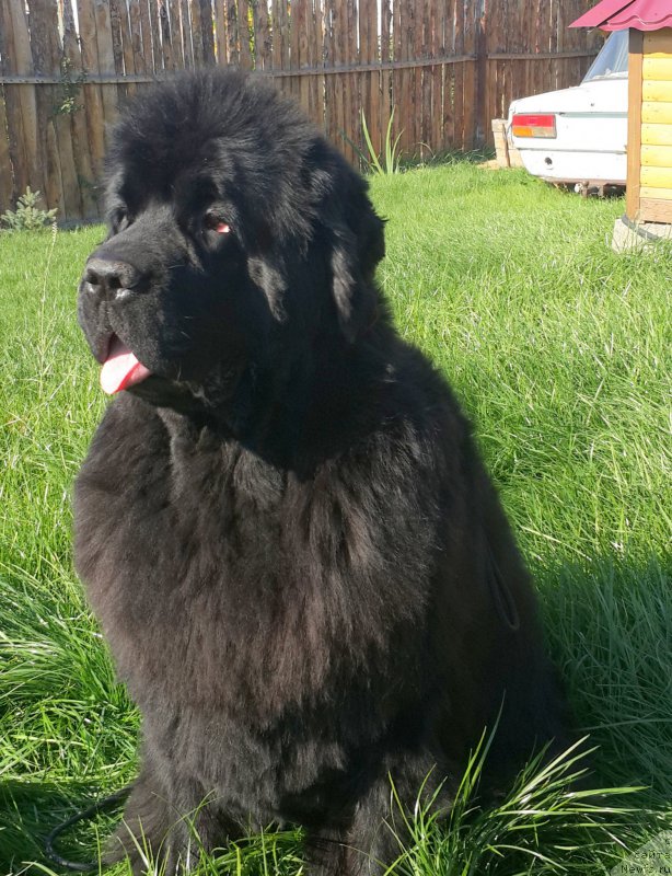 Фотография № 163715