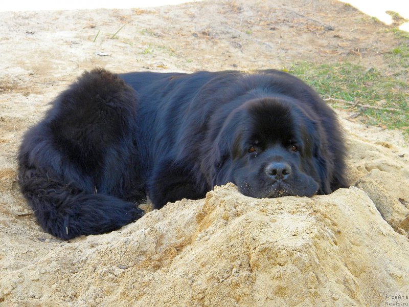 Фотография № 163727