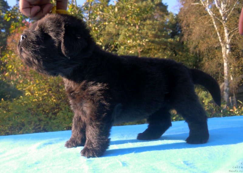 Фотография № 163734