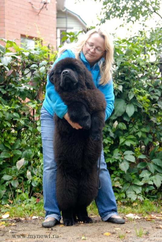 Фотография № 163741