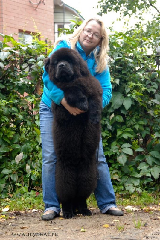 Фотография № 163742